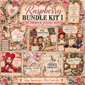Raspberry Digital Kits Bundle 1